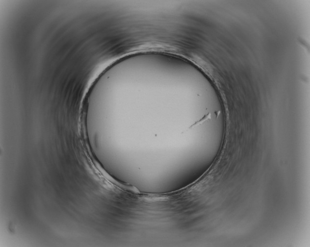 X0000096641296200802191211