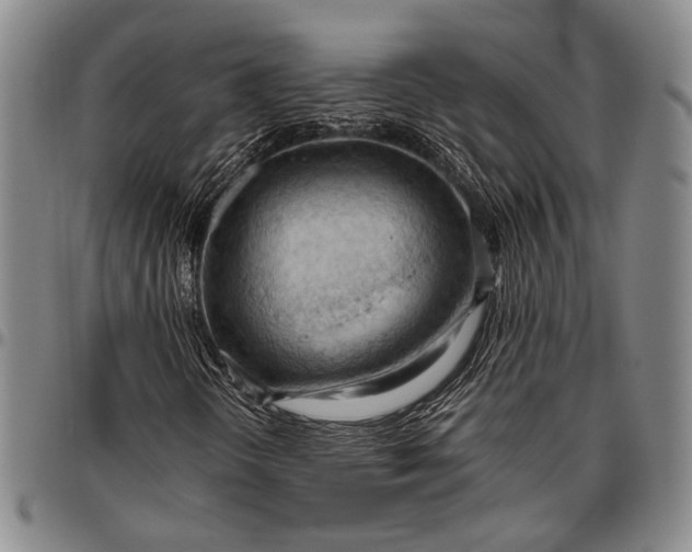 X0000096641298200802191210