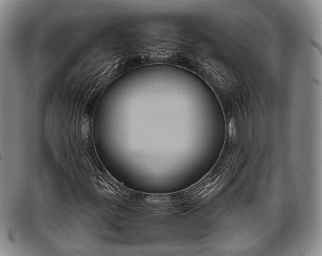 X0000096641299200802191210