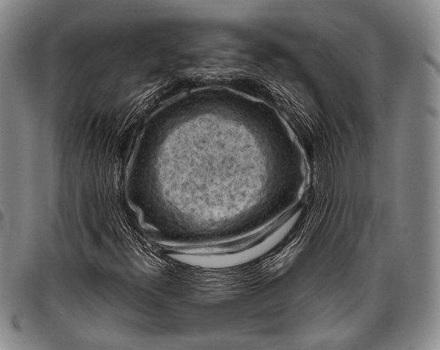 X0000096641300200802191210