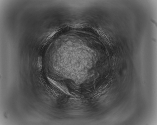 X0000096641301200802191210