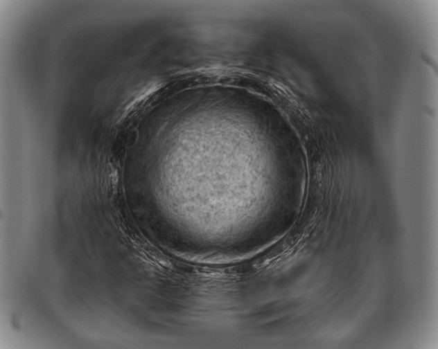 X0000096641302200802191210