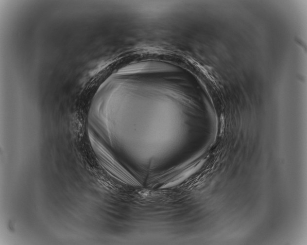 X0000096641303200802191210