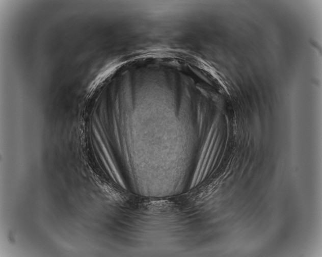 X0000096641304200802191210