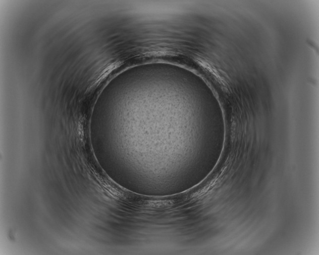 X0000096641305200802191210