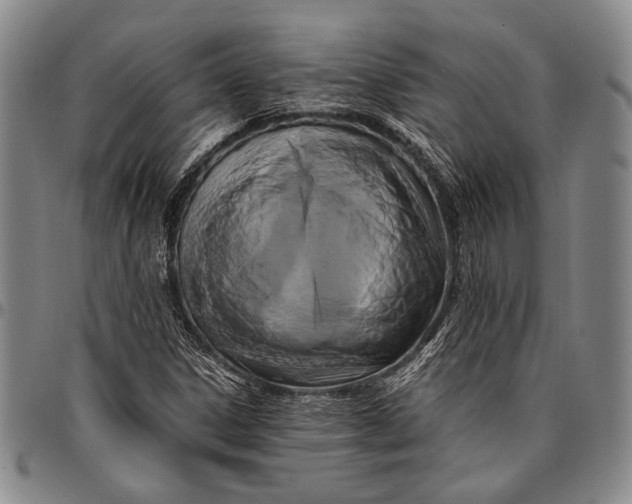 X0000096641306200802191210