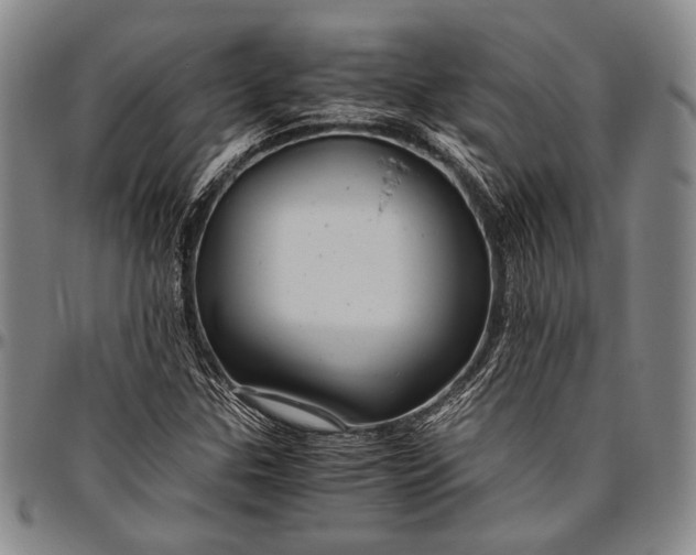 X0000096641307200802191210