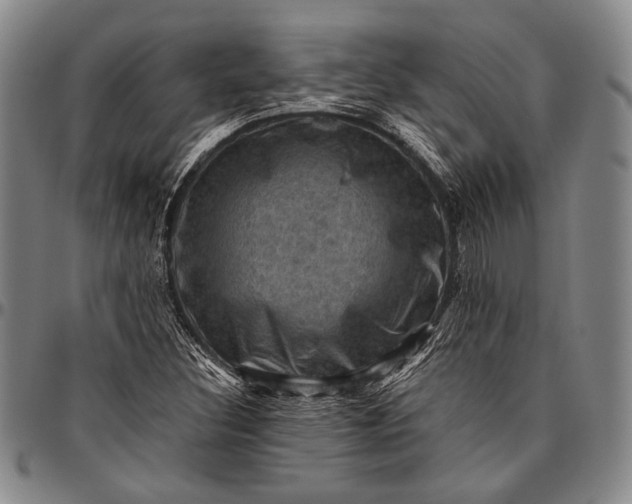 X0000096641308200802191210