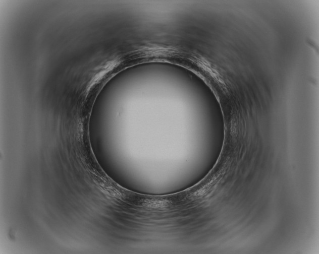 X0000096641309200802191210