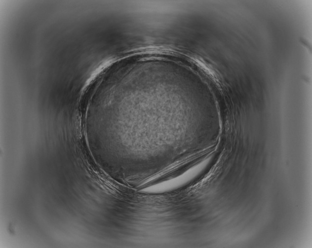 X0000096641310200802191210