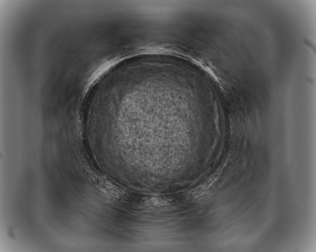 X0000096641311200802191210