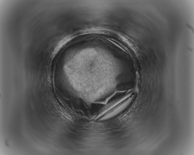 X0000096641312200802191210