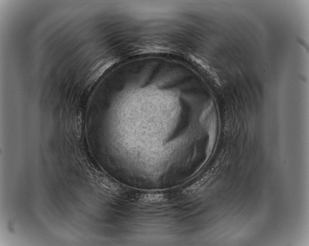 X0000096641313200802191210