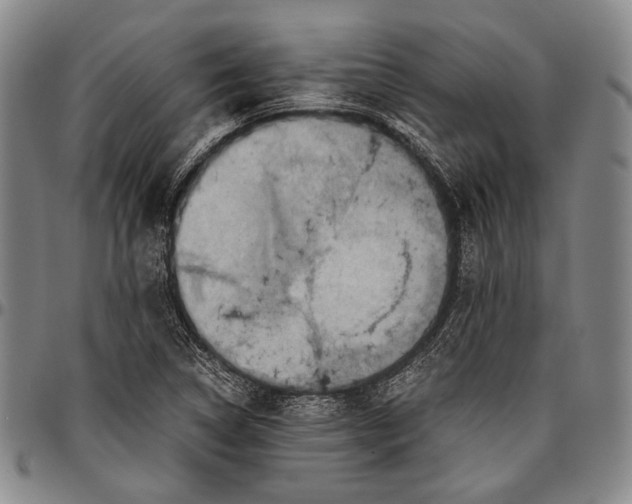 X0000096641314200802191210