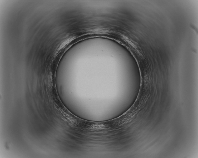 X0000096641315200802191210