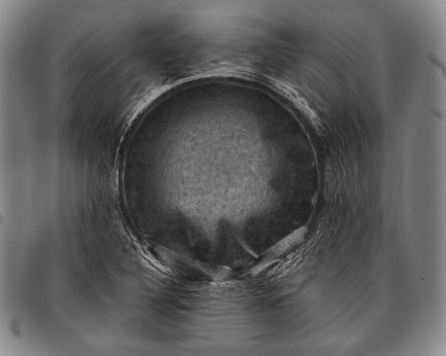 X0000096641316200802191210