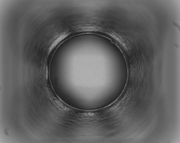 X0000096641317200802191210