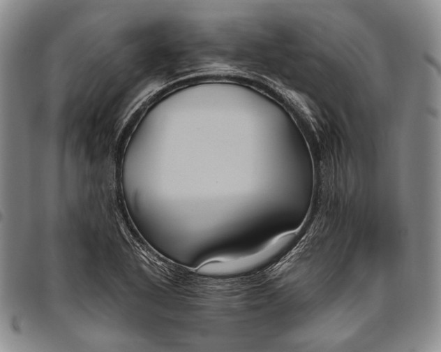 X0000096641318200802191210