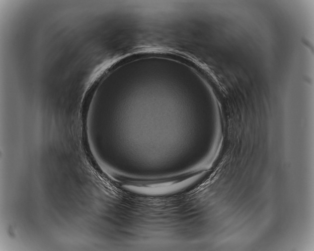 X0000096641319200802191210