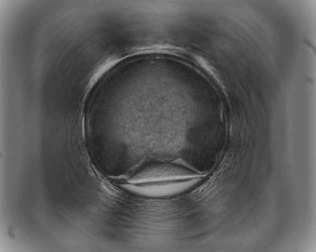 X0000096641320200802191210