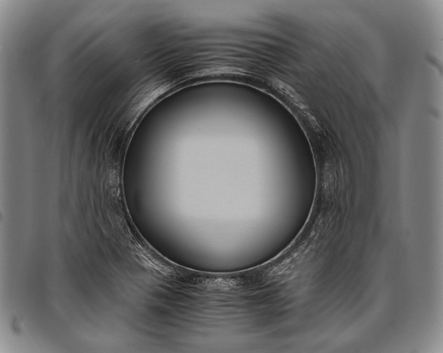 X0000096641321200802191210