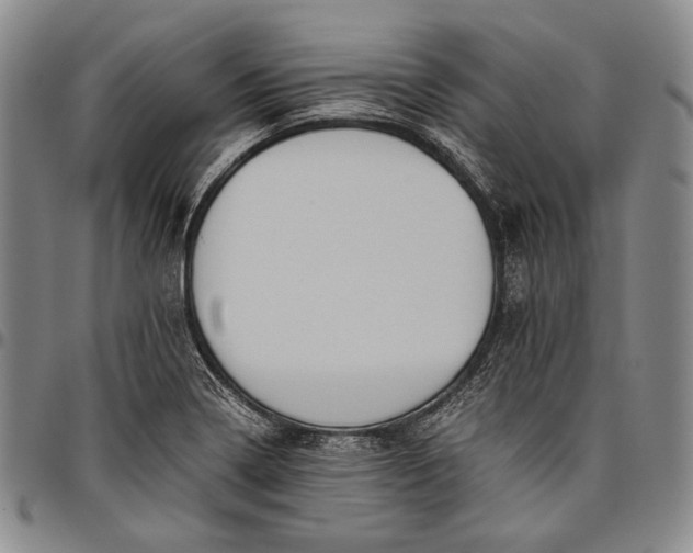 X0000096641322200802191210