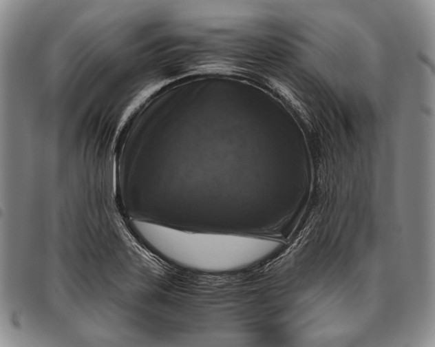 X0000096641323200802191210