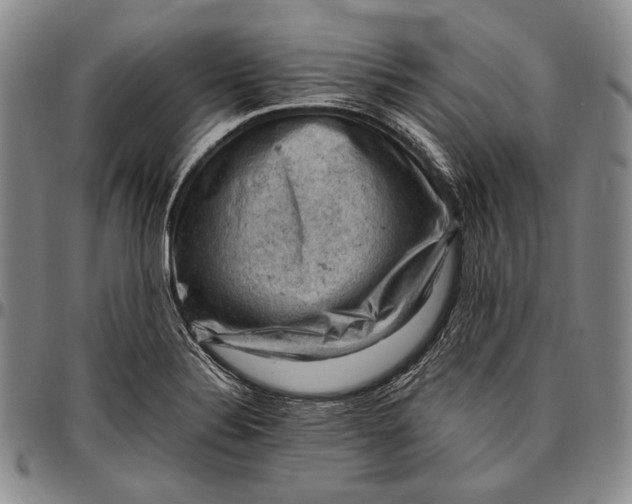 X0000096641324200802191210