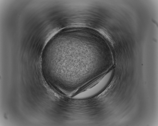 X0000096641325200802191210