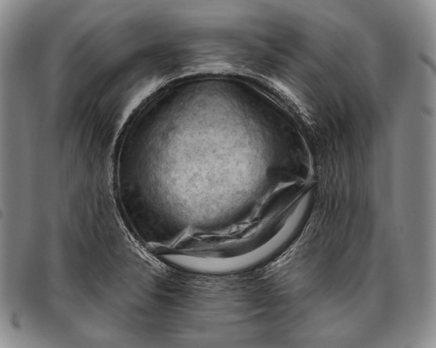 X0000096641326200802191210