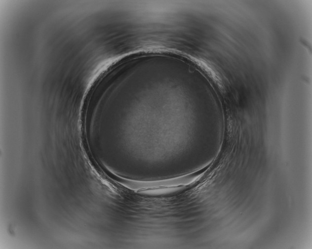 X0000096641327200802191210