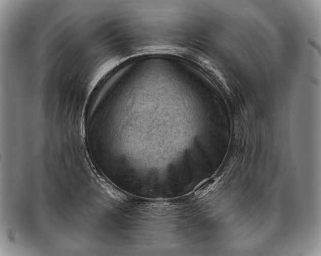 X0000096641328200802191210