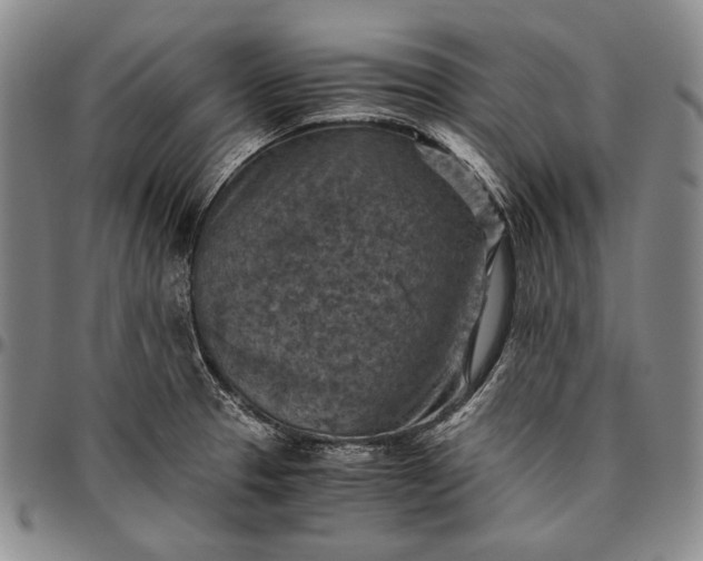 X0000096641329200802191210