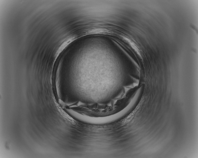 X0000096641330200802191210