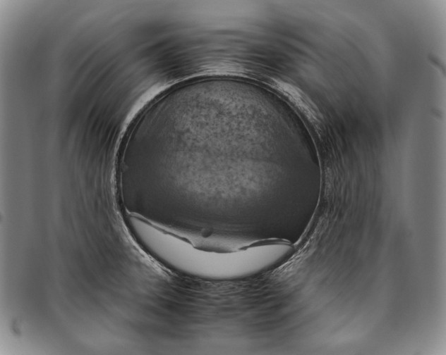 X0000096641331200802191210