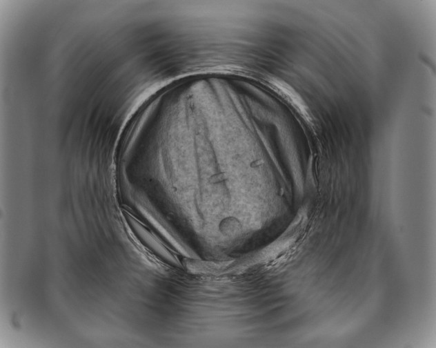 X0000096641332200802191211