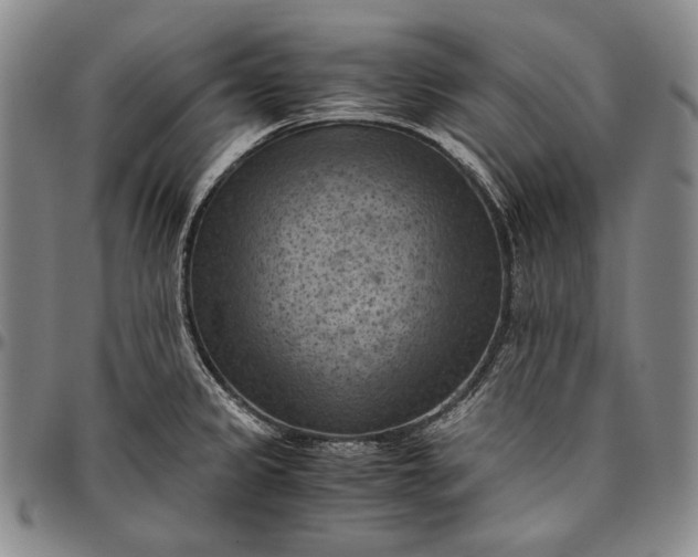 X0000096641333200802191211