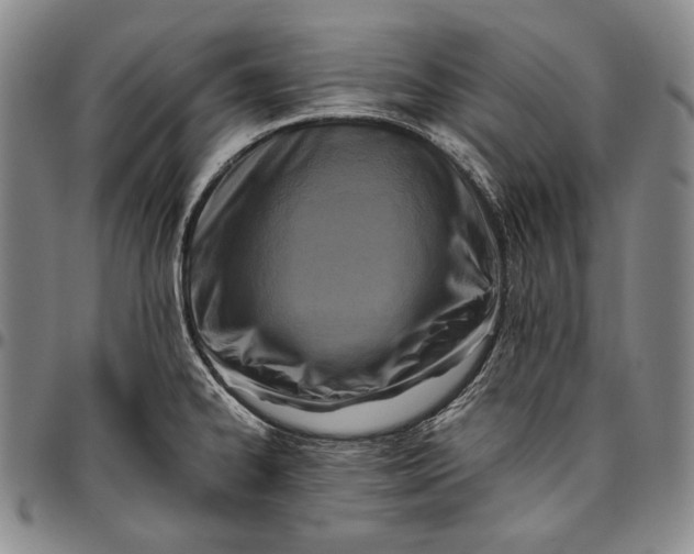 X0000096641334200802191211