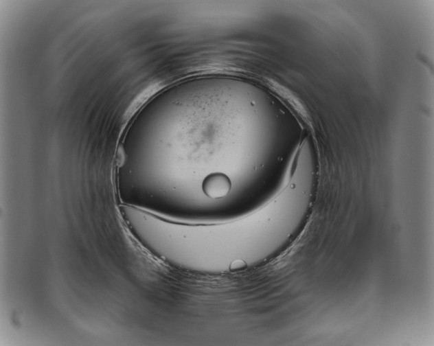 X0000096641338200802191211