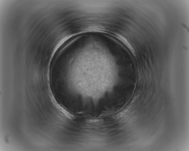 X0000096641339200802191211