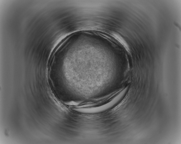 X0000096641340200802191211