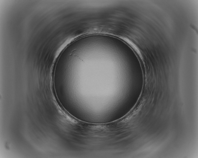 X0000096641341200802191211