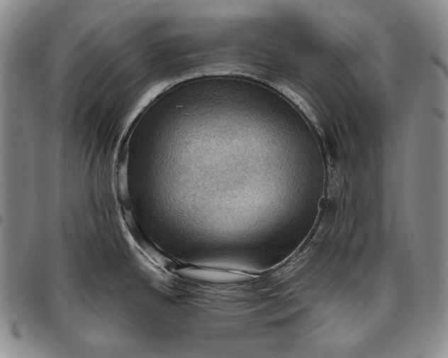 X0000096641342200802191211