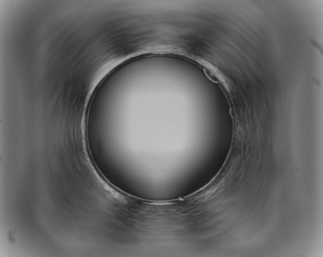 X0000096641343200802191211