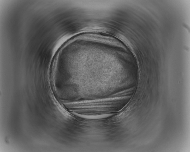 X0000096641344200802191211