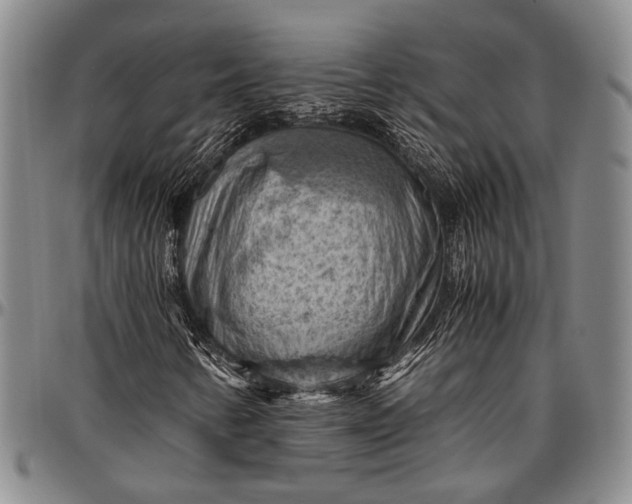 X0000096641346200802191210