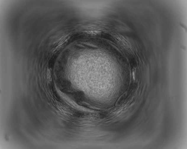 X0000096641347200802191210