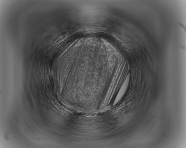 X0000096641348200802191210