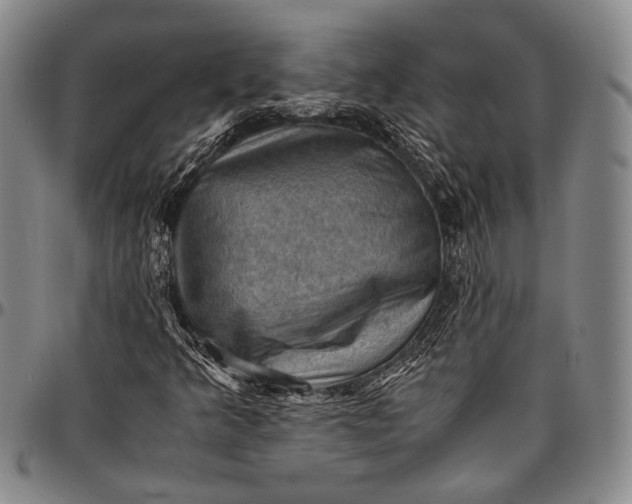 X0000096641349200802191210