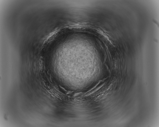 X0000096641350200802191210